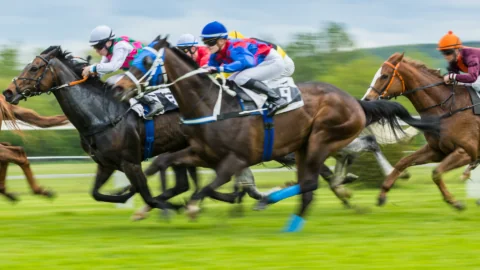 Guests enjoying thrilling horse races on lush green tracks; experience excitement and luxury at our nearby hotel.