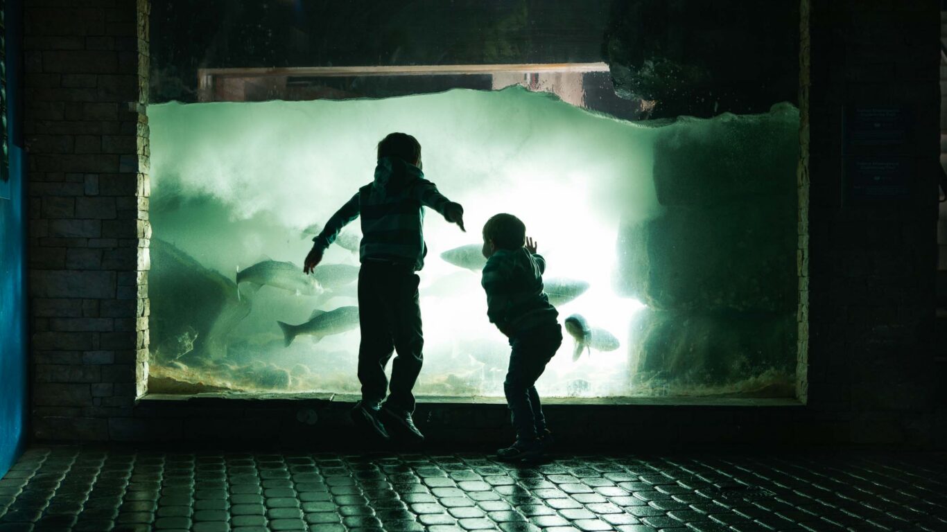 Children enjoy an aquarium at hotel with glowing underwater view, enhancing family-friendly stay with unique marine life.