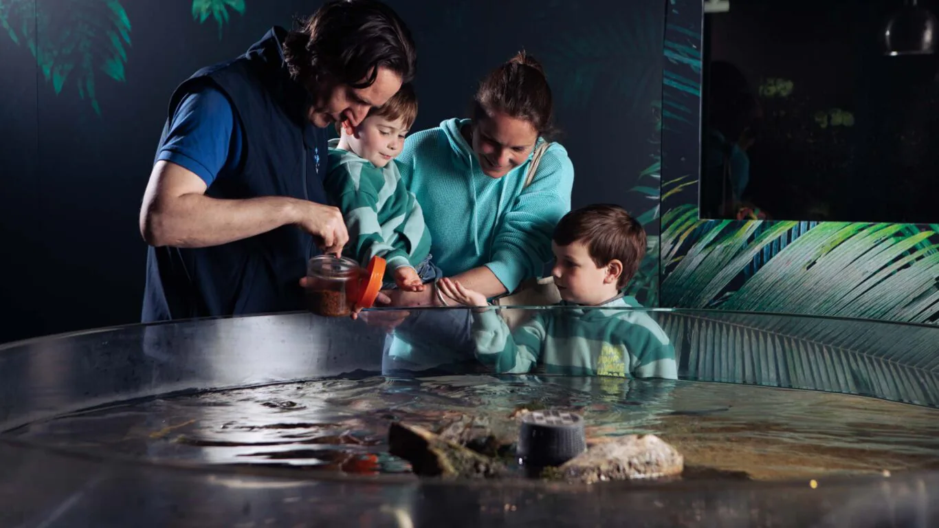 Family enjoys interactive touchpool experience at hotel aquarium, surrounded by vibrant foliage for a fun and educational stay.