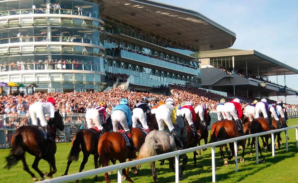 Galway-Races Master