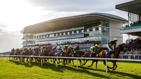 A group of jockeys race their horses on a turf track in front of a grandstand filled with spectators.