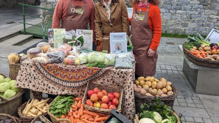 A-Taste-of-May-Galway-Food-Festival