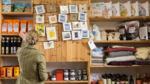 A person browses postcards and artwork displayed on a wooden wall in a shop, surrounded by shelves of food items, blankets, and gifts.