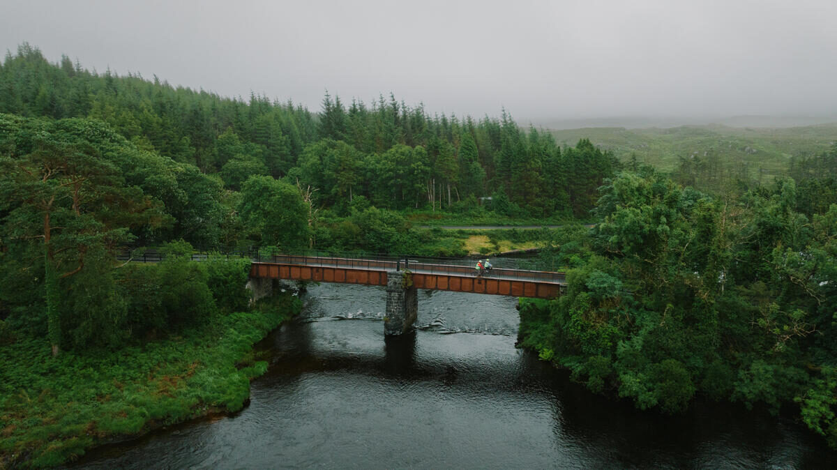 Serene forest view, bridge crossing a lush green river, ideal for nature lovers seeking tranquil escapes.