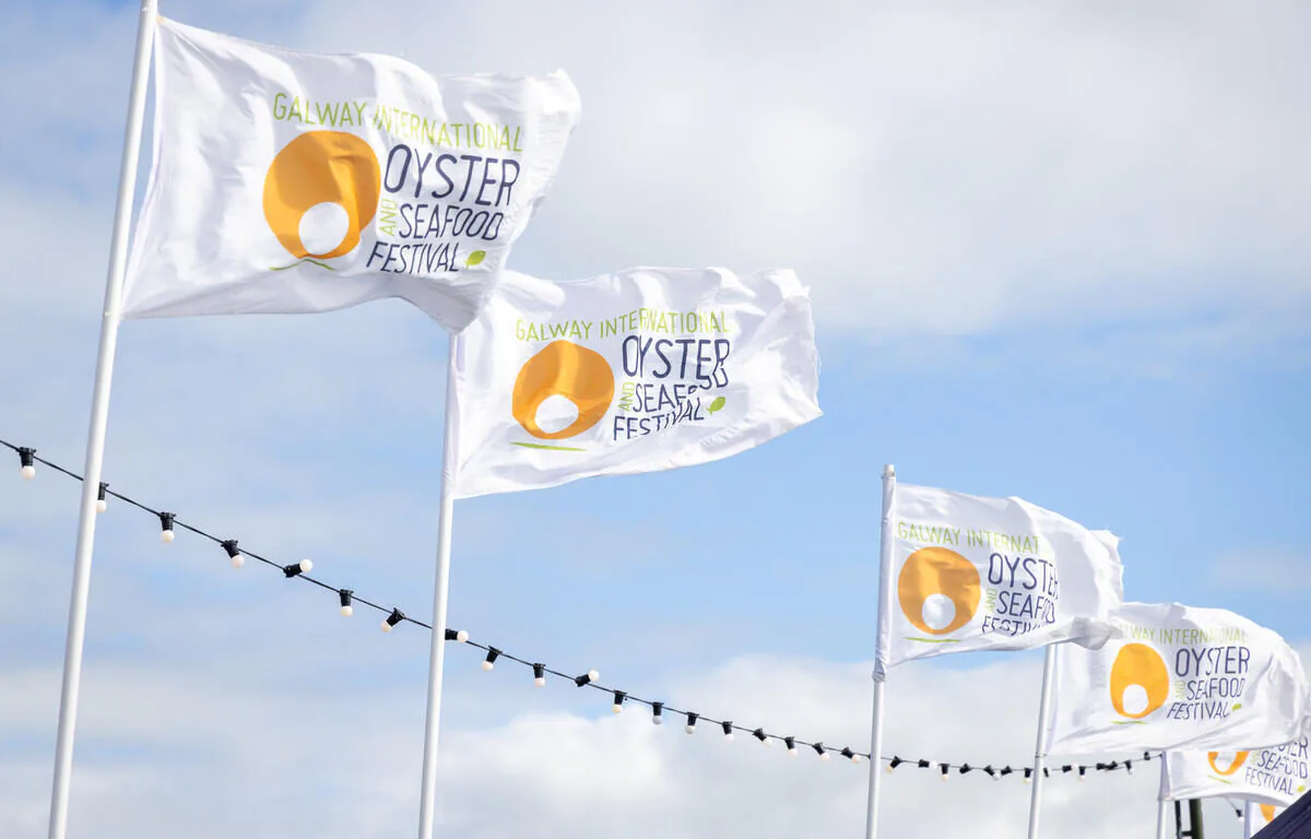Flags of the Galway International Oyster and Seafood Festival waving under a bright blue sky.