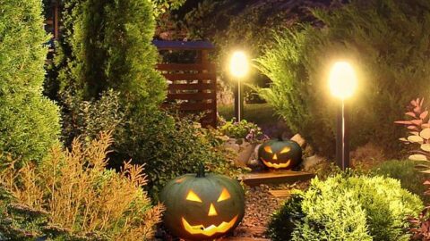Enjoy a magical autumn walk with glowing pumpkins along a beautifully lit hotel garden path, perfect for seasonal charm.