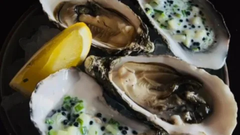 Fresh oysters with lemon wedge, garnished with herbs, reflecting our luxury seaside hotel's gourmet dining experience.