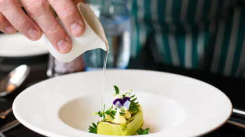 Gourmet dish with vibrant garnish, elegantly served, reflecting refined dining experiences at luxury hotel restaurant.