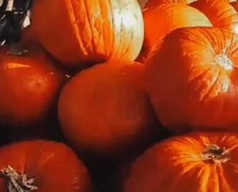 Bright orange pumpkins stacked in a cosy, rustic setting, inviting guests to enjoy seasonal charm and countryside warmth.